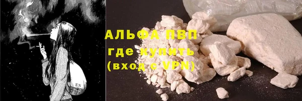 прущие грибы Михайловка