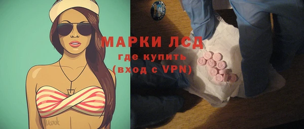 прущие грибы Михайловка