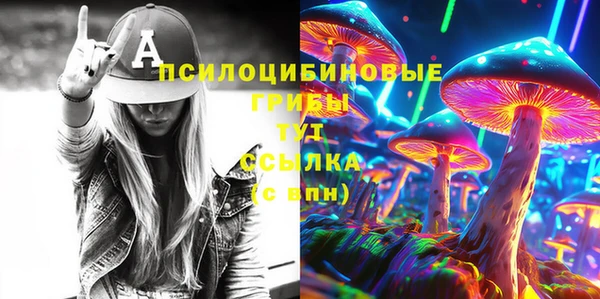 прущие грибы Михайловка
