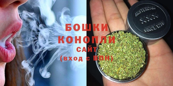 прущие грибы Михайловка