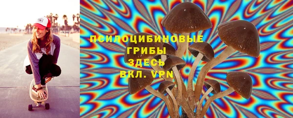 прущие грибы Михайловка