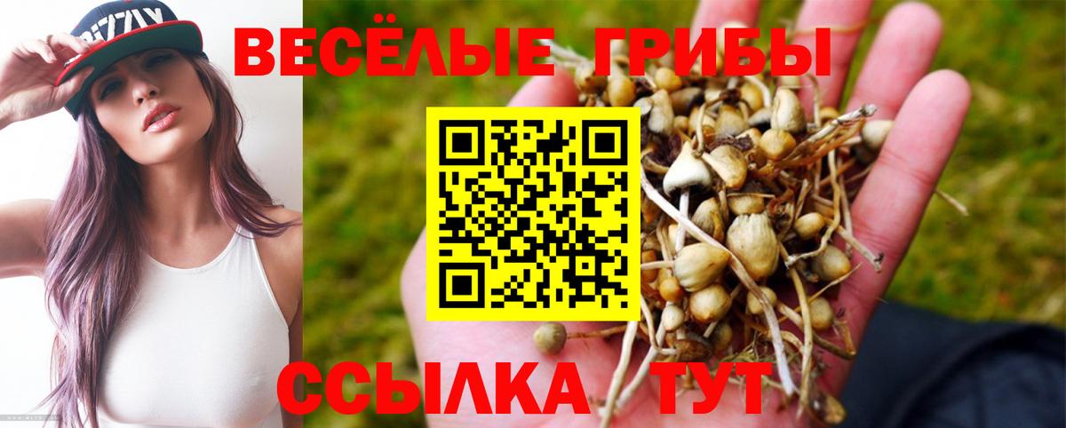 Абакан  Галлюциногенные грибы прущие грибы  Вход с VPN 