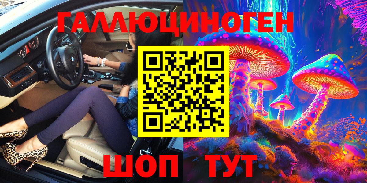 Псилоцибиновые грибы GOLDEN TEACHER Абакан